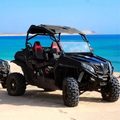 Excursion QUAD/BUGGY