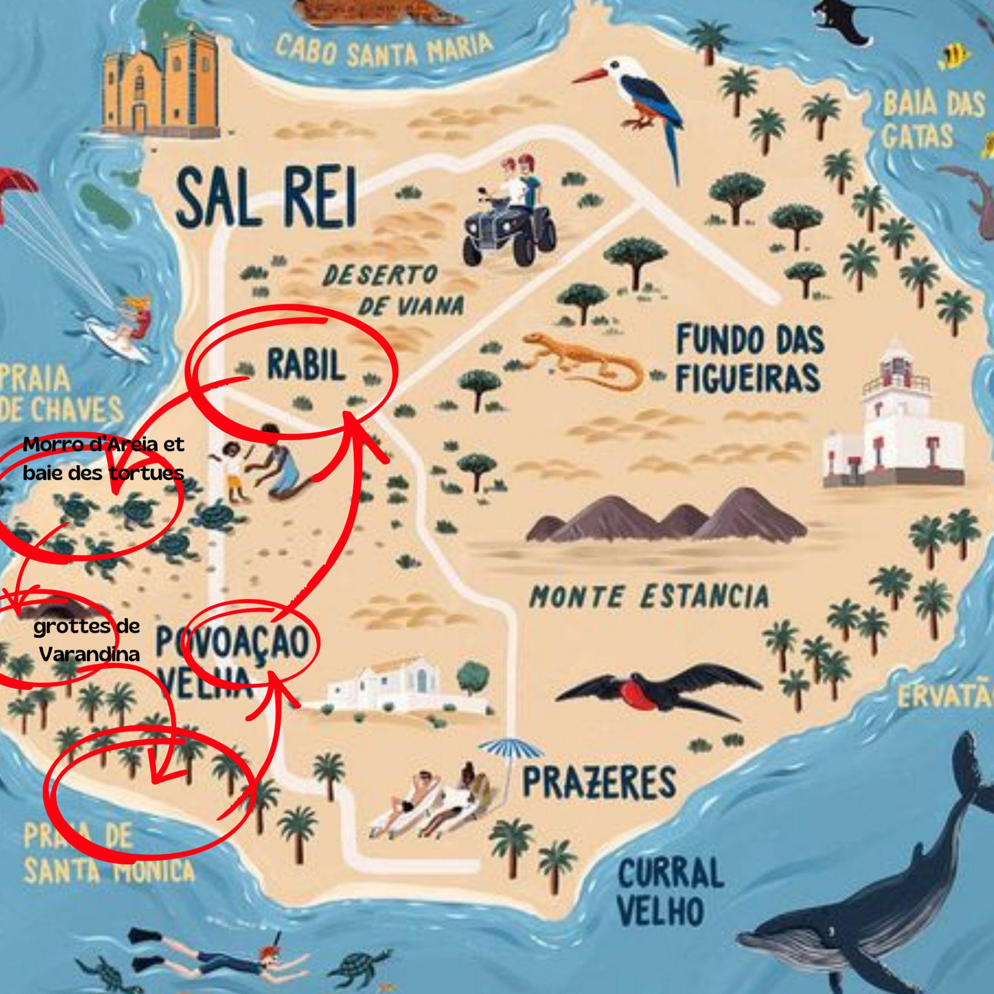 Excursion du  SUD